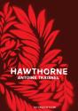 Hawthorne de Antoine TRAISNEL