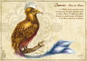 Carte postale Créature légendaire : Janvier de Séverine  PINEAUX