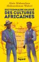 Dictionnaire enjoué des cultures africaines de Alain  MABANCKOU &  Abdourahman A. WABERI
