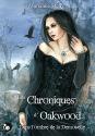 Les Chroniques d'Oakwood: Dans l'Ombre de la Demoiselle de Marianne STERN