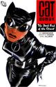 Ed Brubaker présente Catwoman T1 : D'entre les ombres... de COLLECTIF