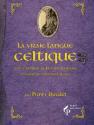 Sur la piste du trésor de Rennes-le-château : La vraie langue celtique et le cromleck de Rennes-les-bains de Henri BOUDET